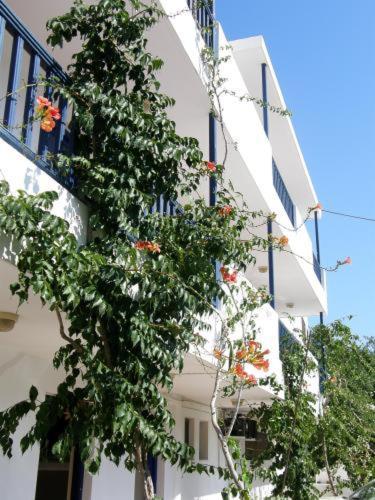 Bay Watch Aparthotel Karpathos Bagian luar foto